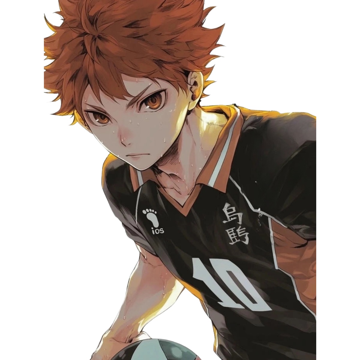 Hinata Shoyo - Haikyuu AU Store