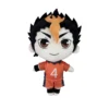 kf Sa86eeada39d64e9a92040b5344b5fb20U - Haikyuu AU Store