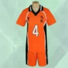 kf Sb9c713ea859449249d8bf174df190c28e - Haikyuu AU Store