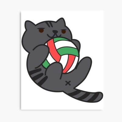 Haikyuu Atsume Kuroo Poster